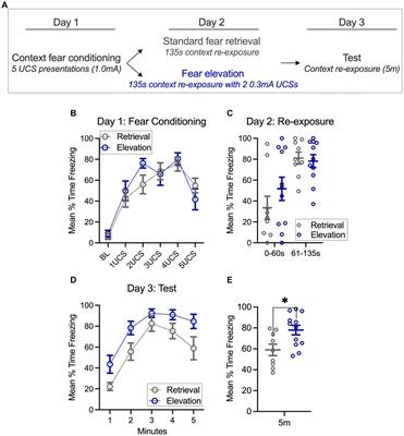 Elevated fear states facilitate ventral hippocampal engagement of basolateral amygdala neuronal activity